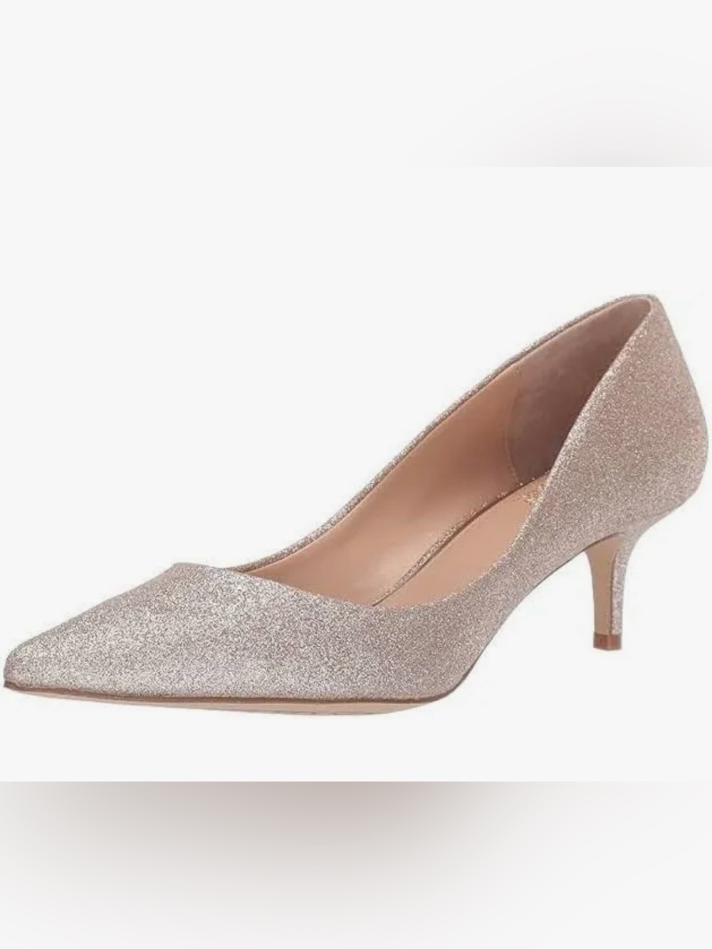 NWT Jewel Badgley Mischka Royalty Glitter Pointed-Toe Kitten Heel Pump